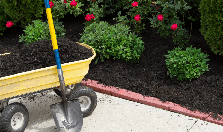 Greenline Landscaping And Fence